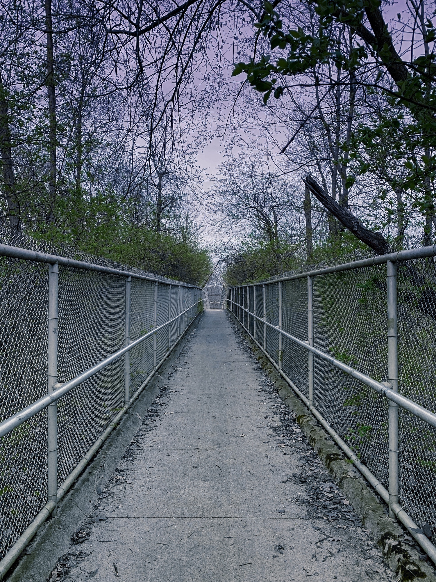 the-jarbochov-stratagem-restrained-path