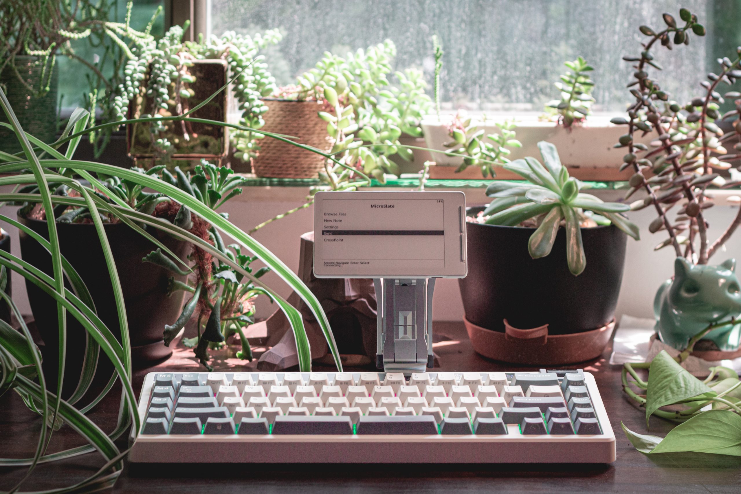 My writerdeck on my desk with my plants.